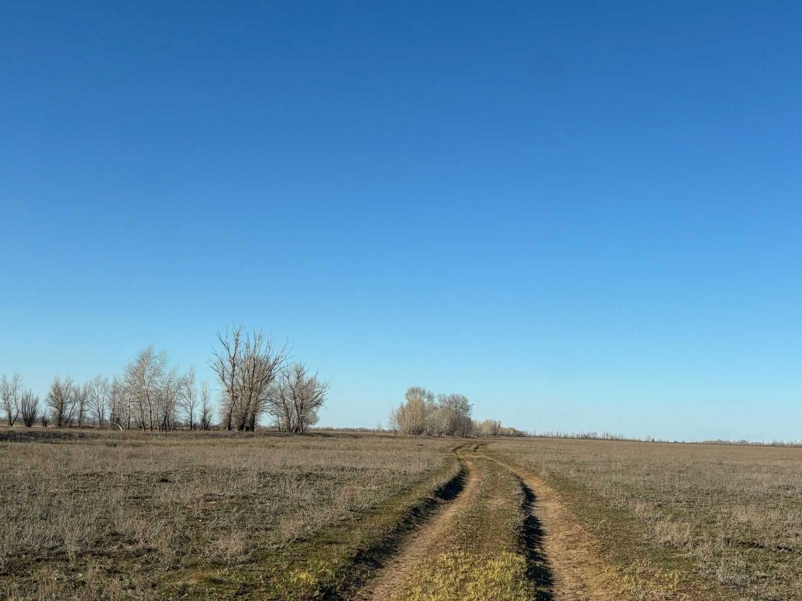 земля  с площадью 1000 га продается в поселке  Мергенева.