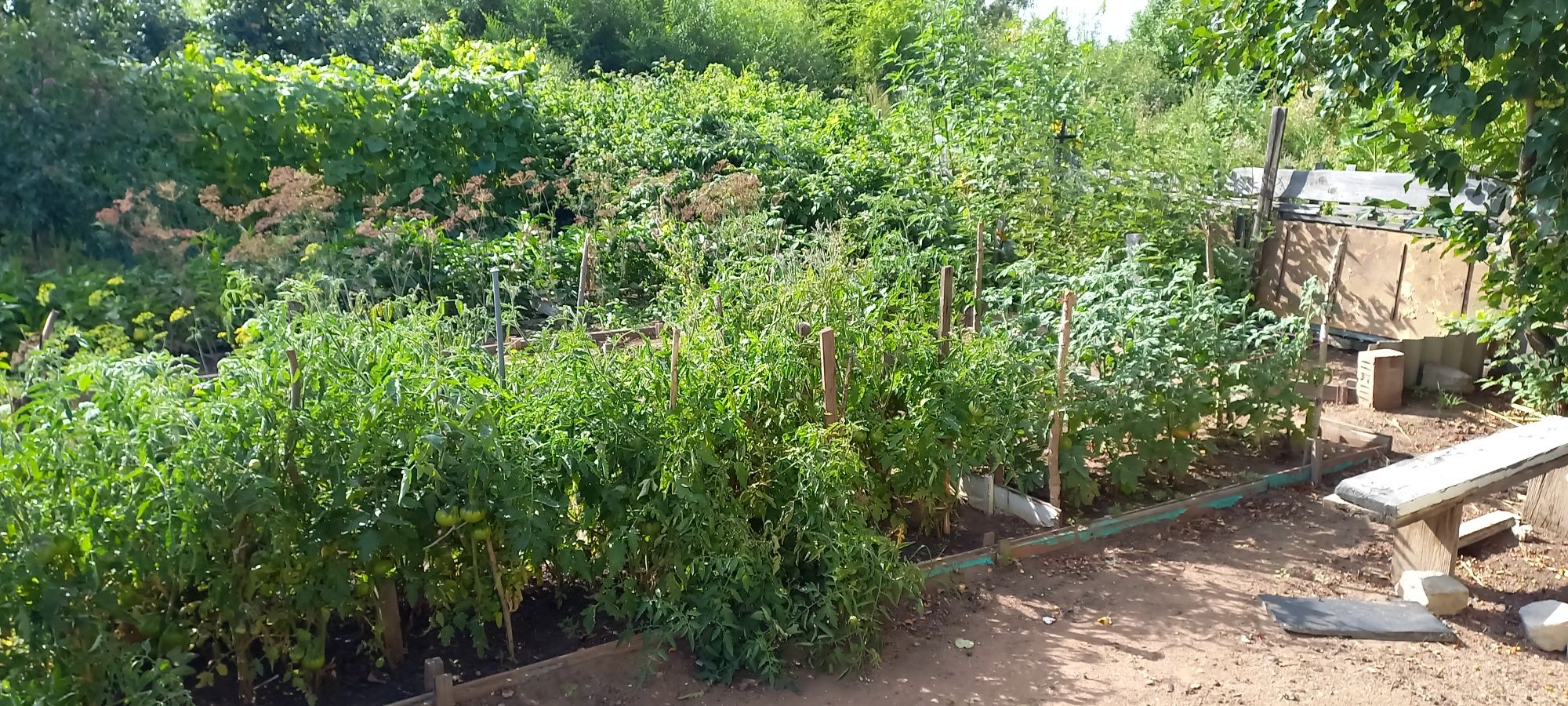 Продам 3х комнатн квартиру