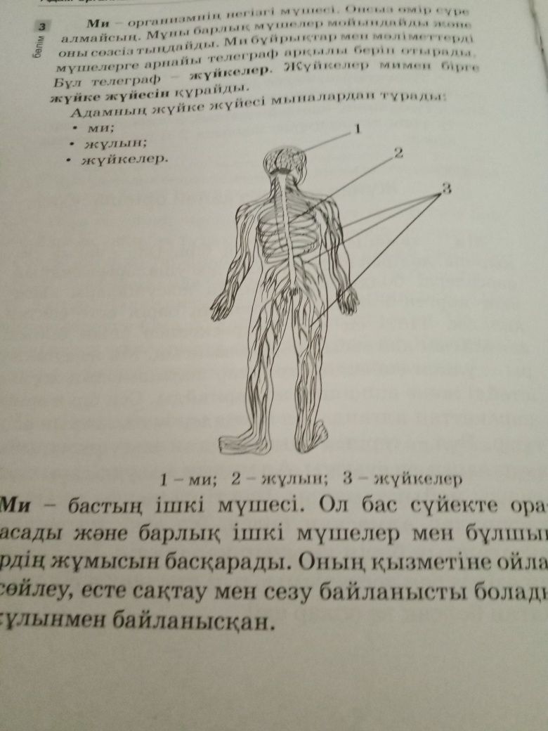 Учебное пособие с  1  по 4 класс.