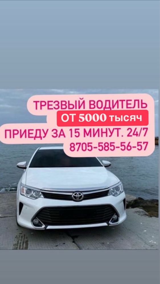 Трезвый водитель
