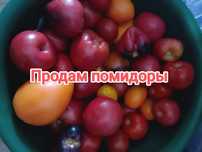 Помидоры дачные , не засолочные. кжби
