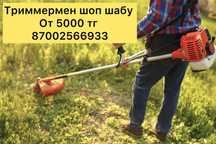 уборка территории, покос травы, сорняк