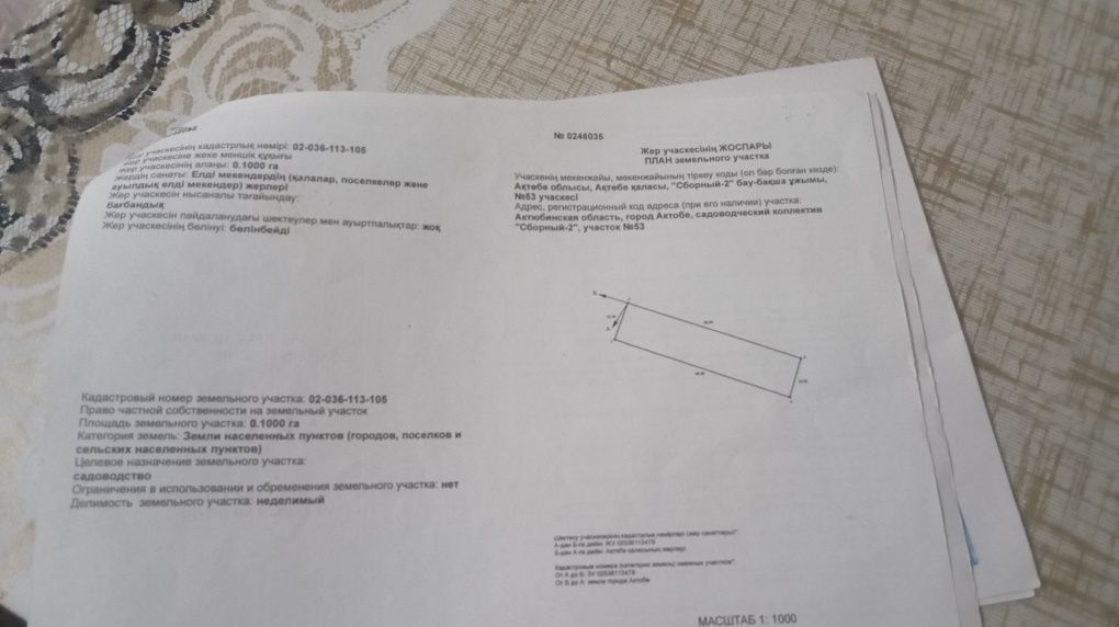 Продам 2 дачных участка