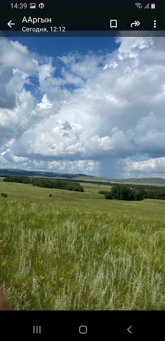 Продам крестьянское хозяйство
