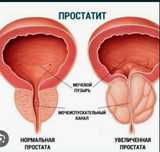 Оздоровительный массаж на кушетке