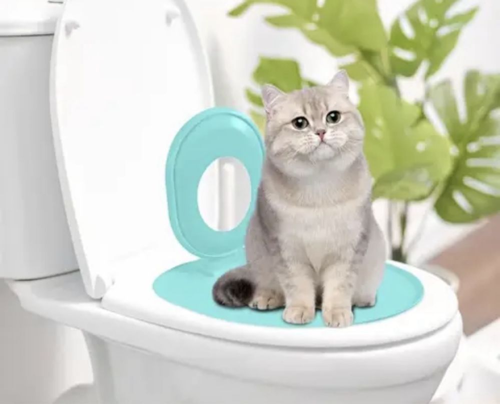 Туалетный лоток для кошек