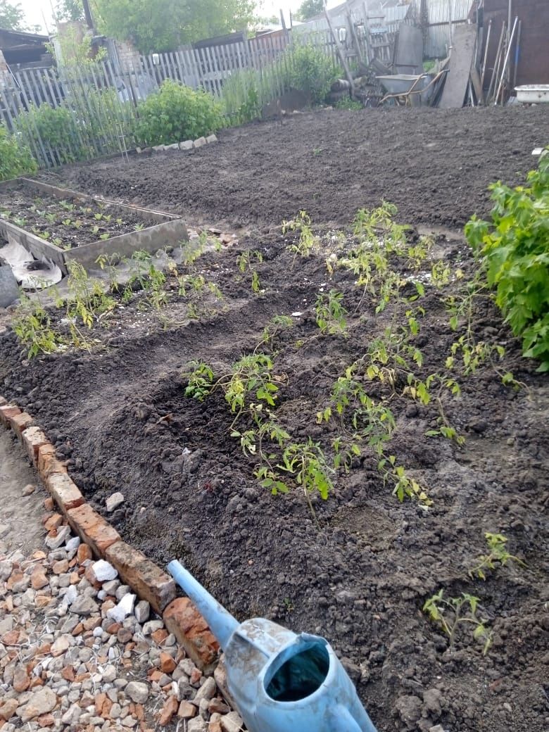 Продам квартиру в доме на 4 хозяина