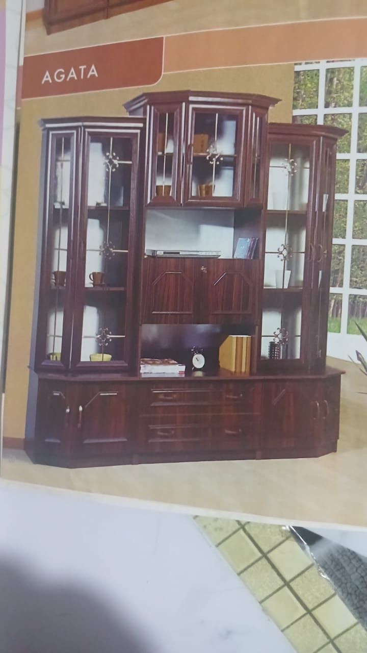Стенка для гостиной AGATA