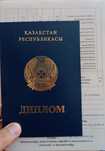 Сыныкшы костаправ