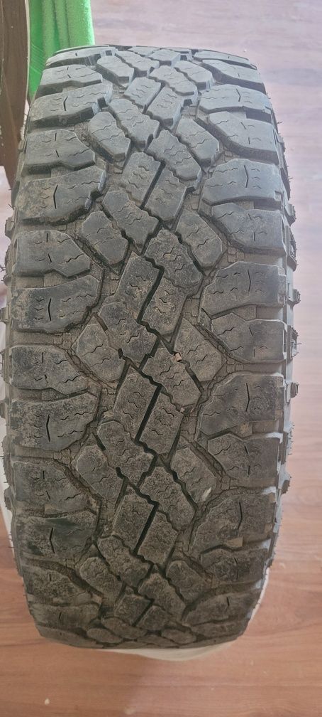 Goodyear Wrangler R18
