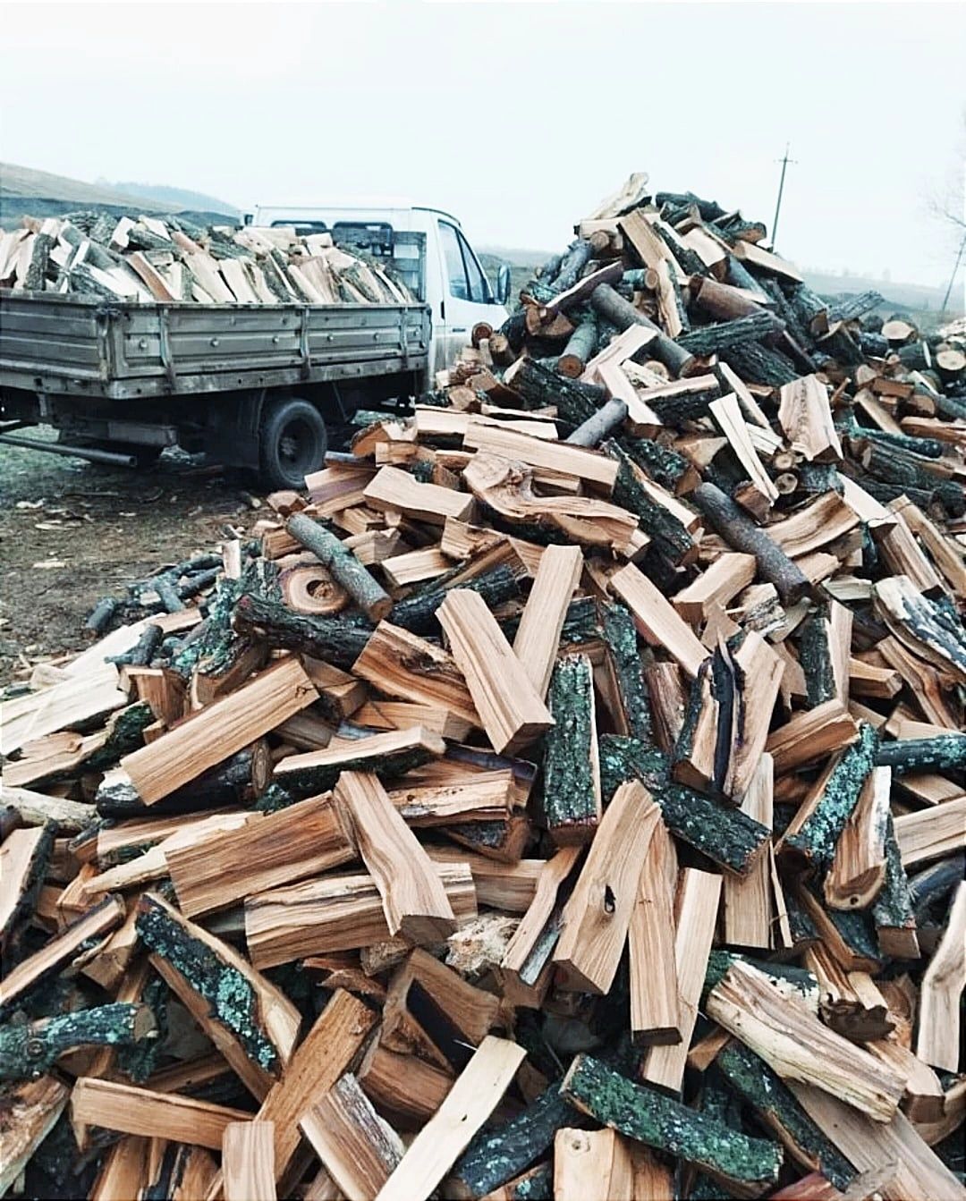 Дрова карагач сухой колоты готовы ЗиЛ доставка