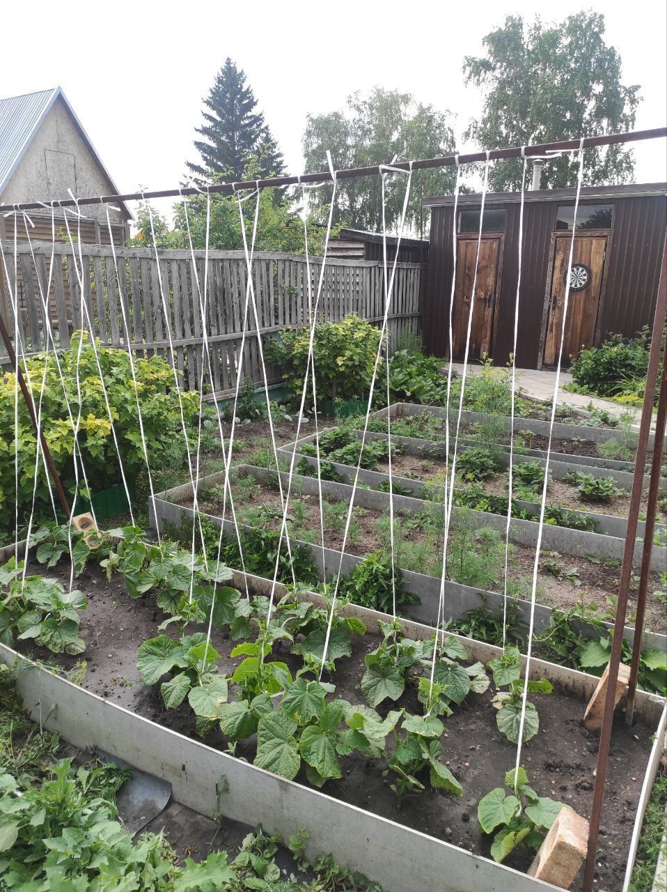 Продам дачу на Пестром