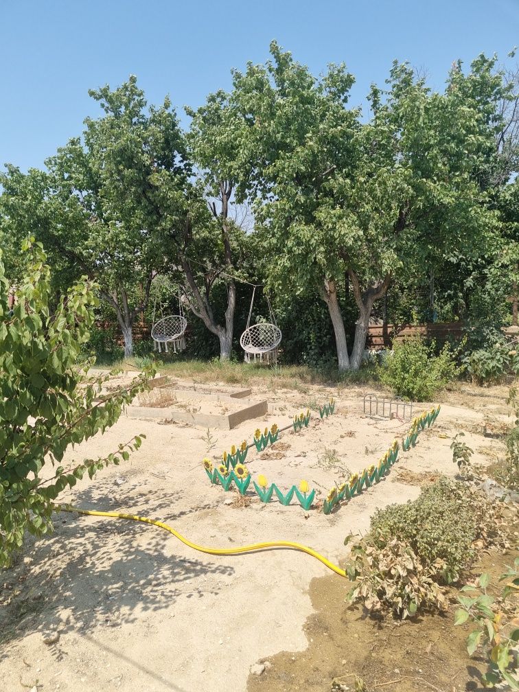 Сдам дачу СОТ Южный