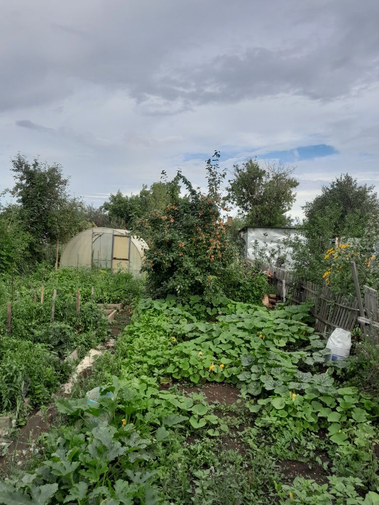 Продам дачу 6 соток