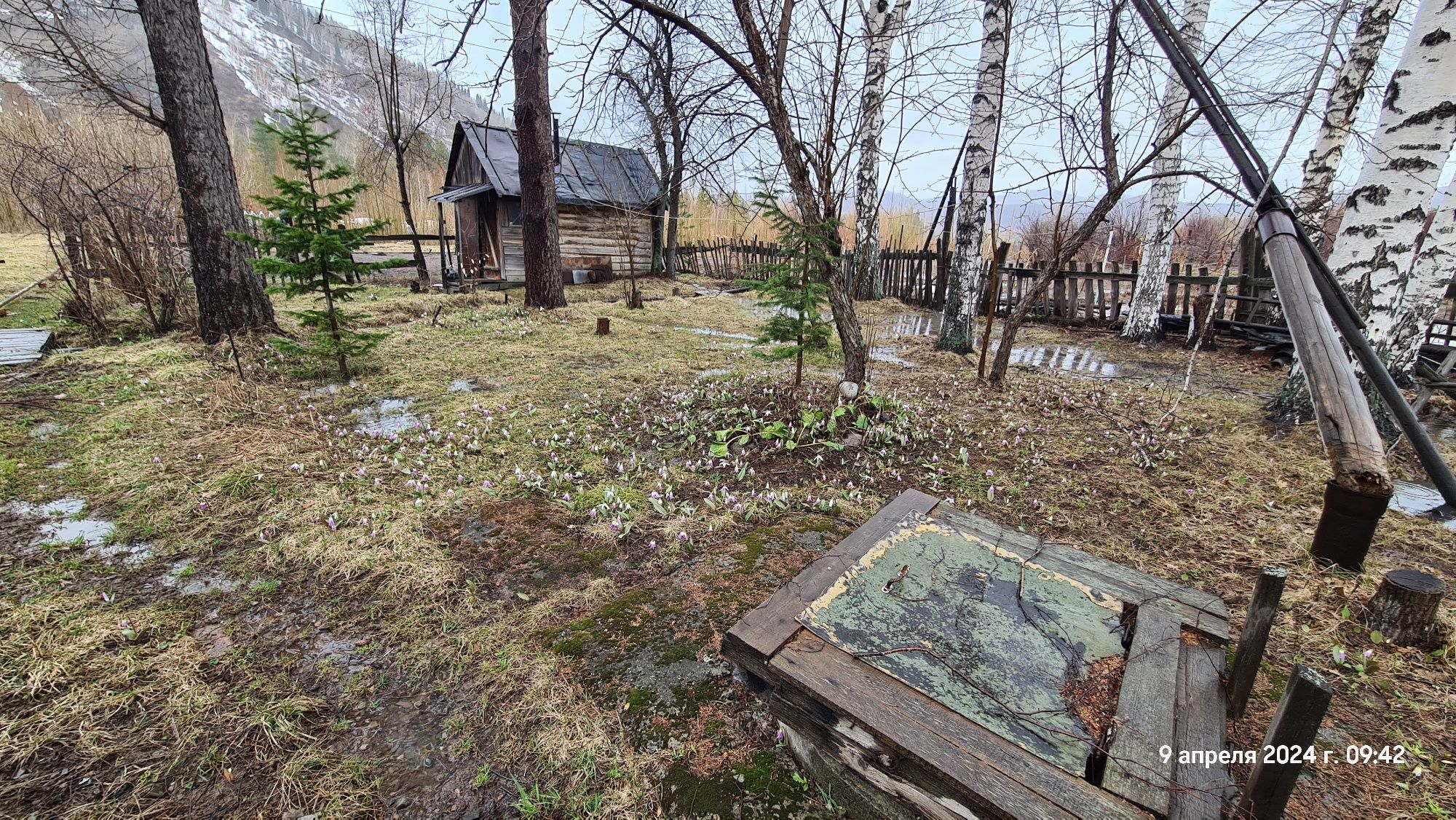 Продам дачу с/о Казахстан огород засажен