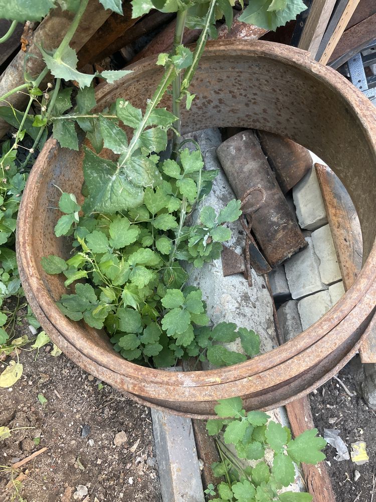 Продам диск на камаз старого образца