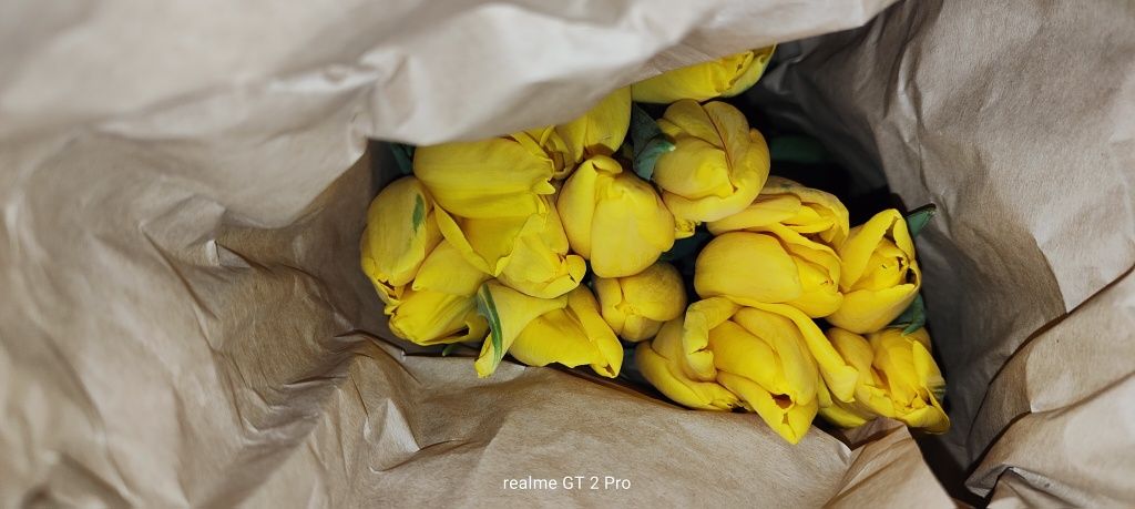 Продам заводские железные диски с шинами от Кобальт на R14.