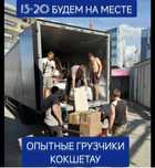 Грузчики 15-20 минут будем у вас