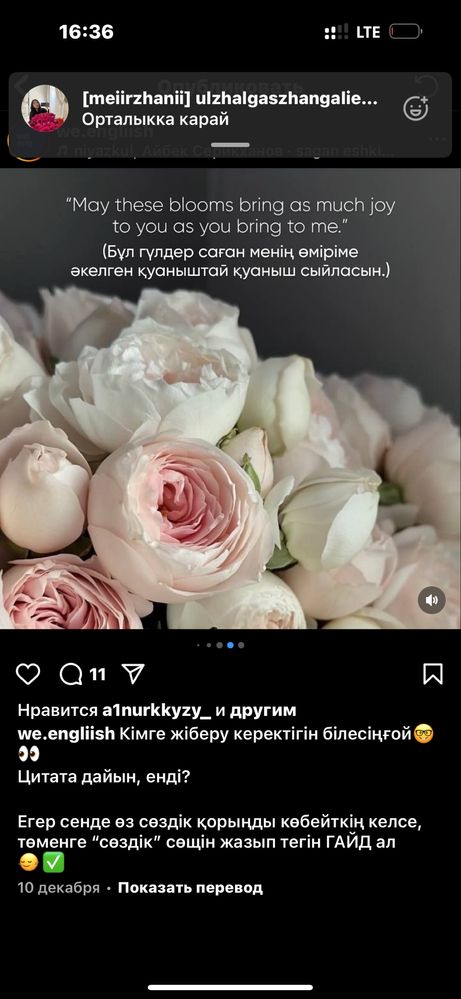 iPhone 15pro max