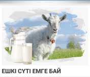 Ешкі сүті Козье молоко