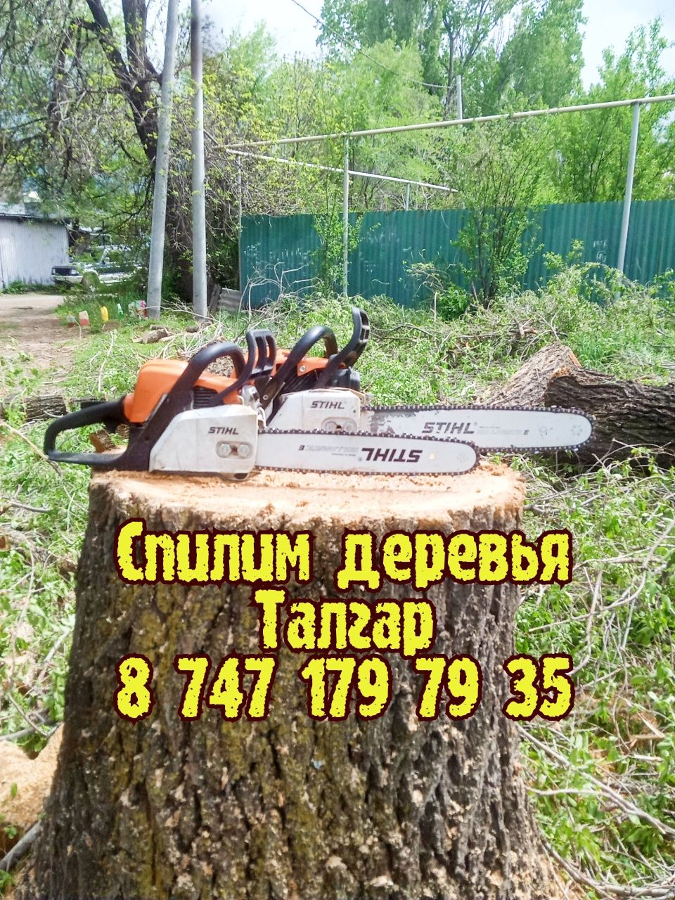 Спилим деревья. Спил деревьев. Спилить. Обрезка. Пилим. Ағаш.