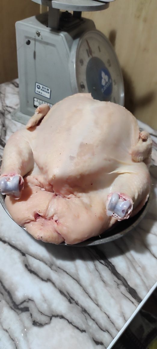 Мясо домашних брлйлеров