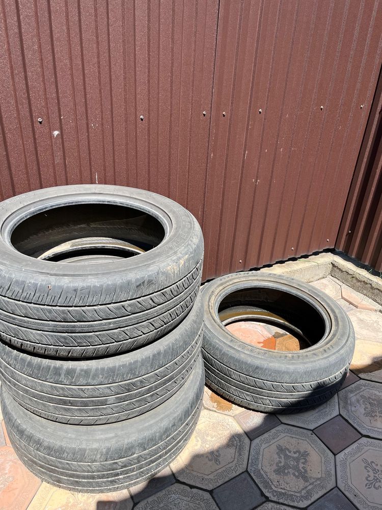 Шина Dunlop PT 24
