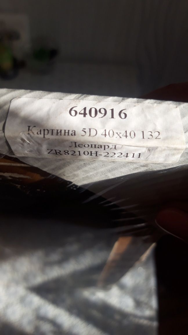 Новая картина 5D. Леопард!