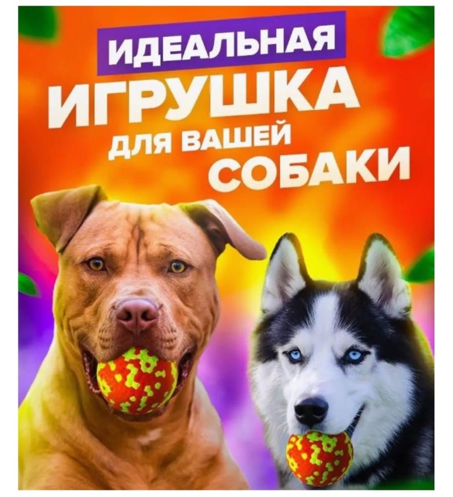 Для  своего питомца