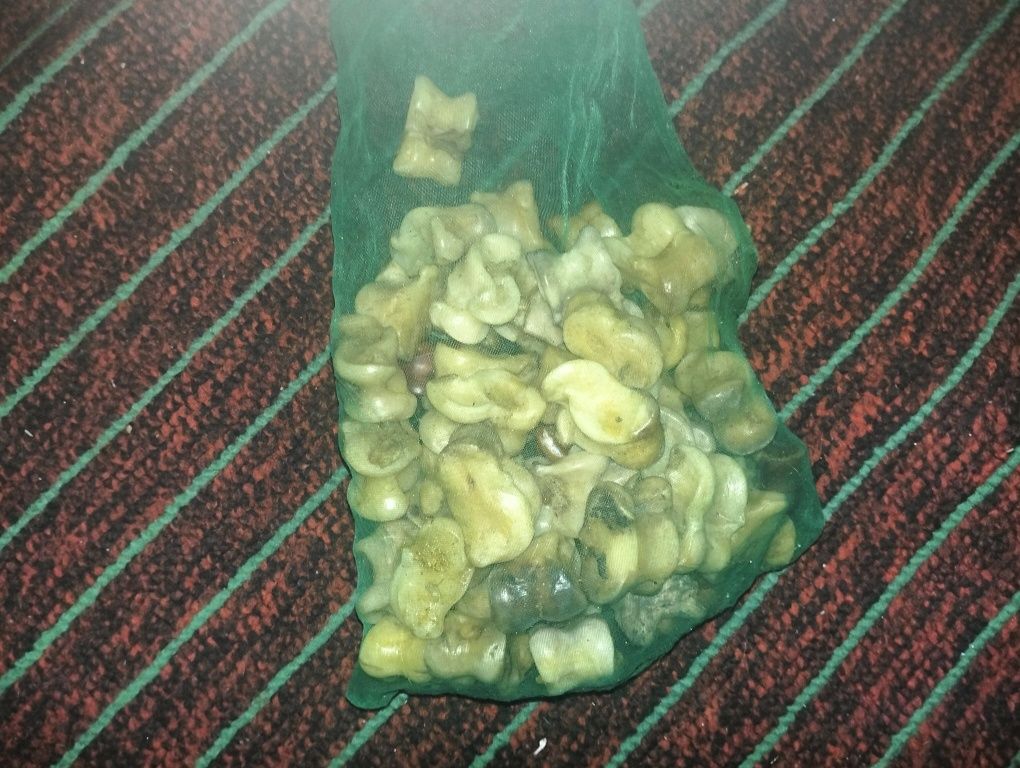 Сәлеметсізбе мына асық сатылады