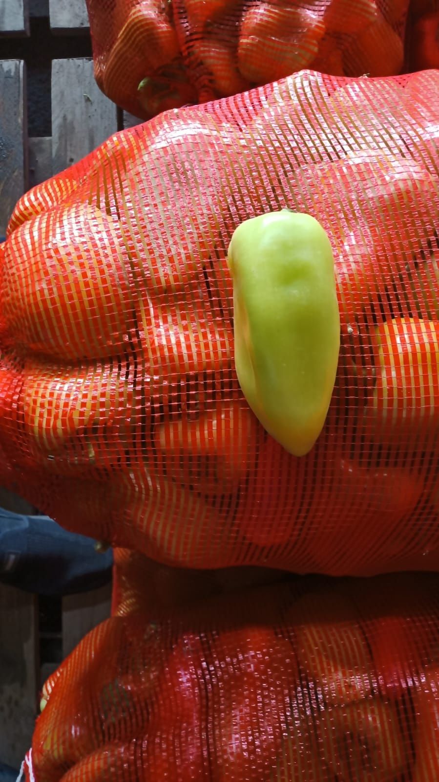 Продам баклажаны, перец, огурцы