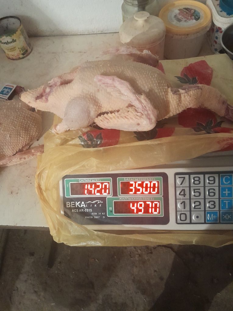 Мясо индейки, утки продаются