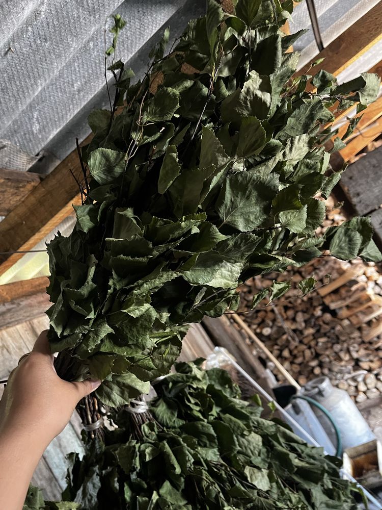 Продам веники березовые