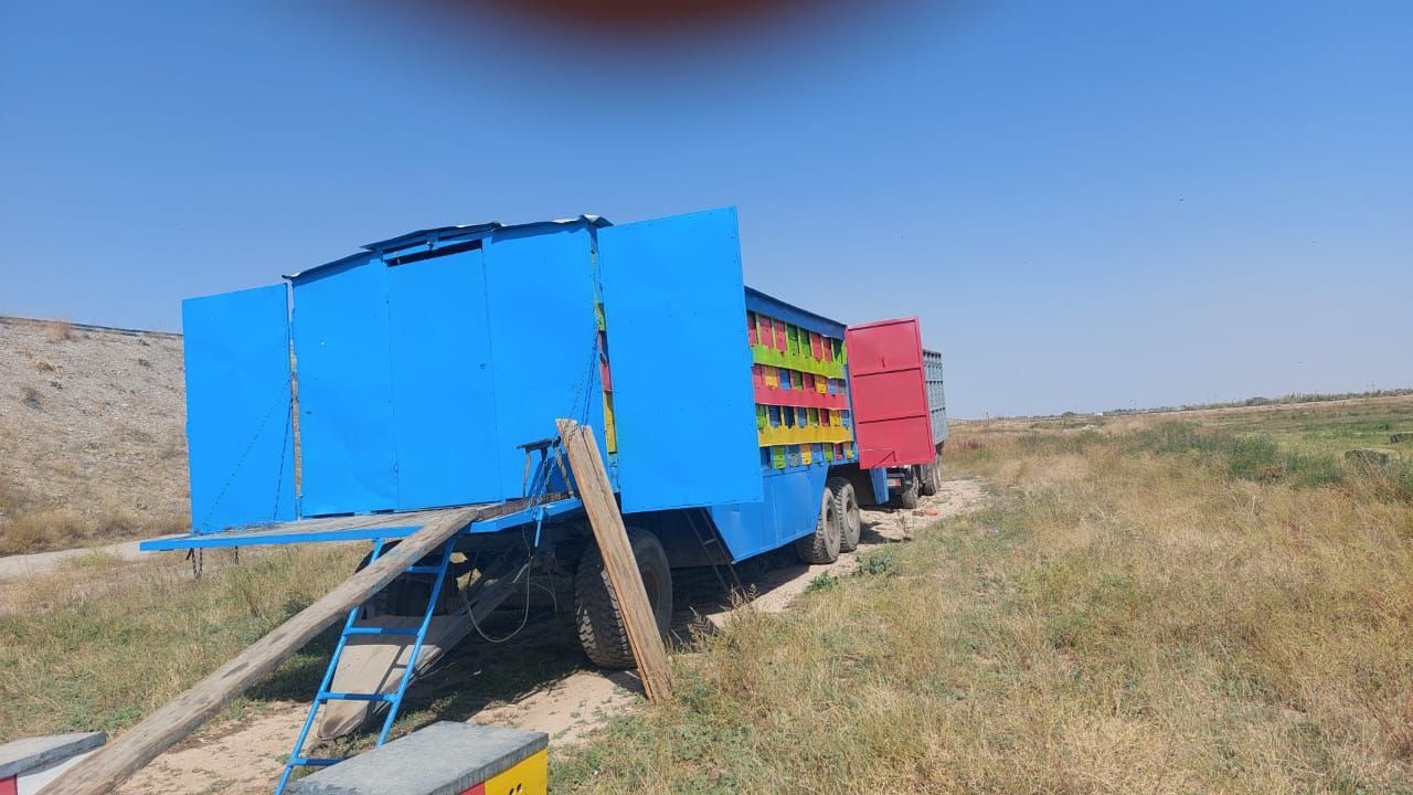 Продам пчелоприцеп
