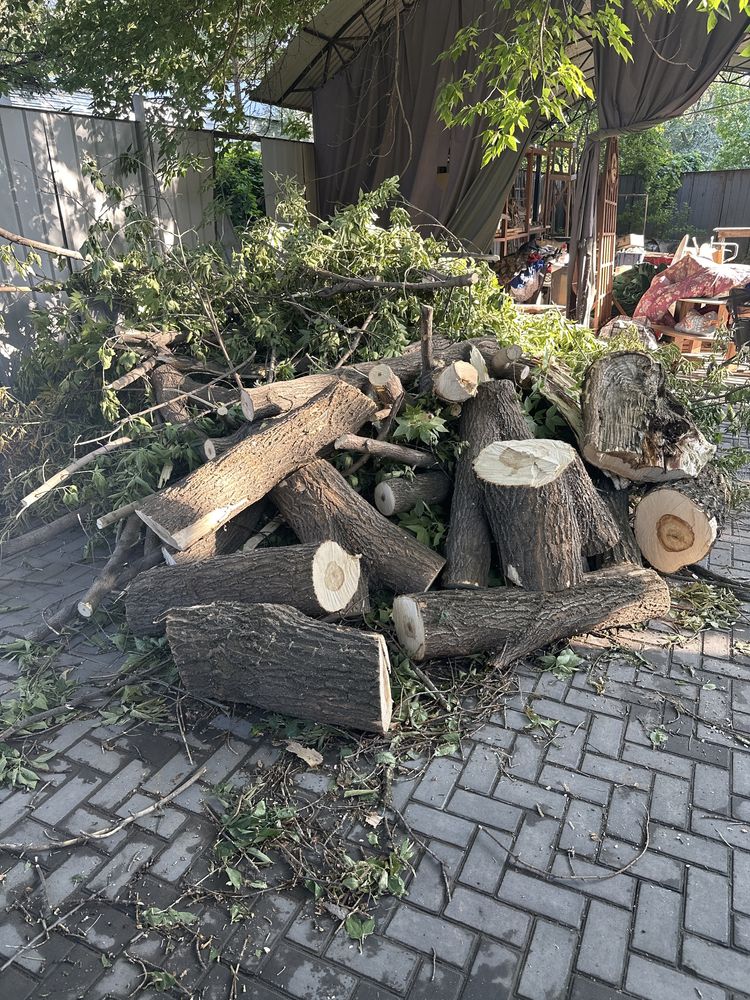 Дрова распиленная , бесплатно