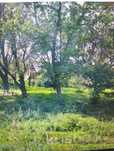 Продам дачный участок 12 сотток