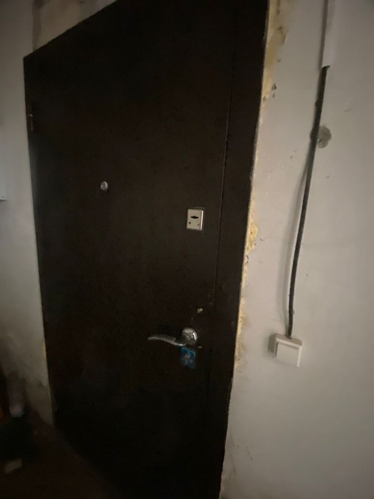Дверь входной железный