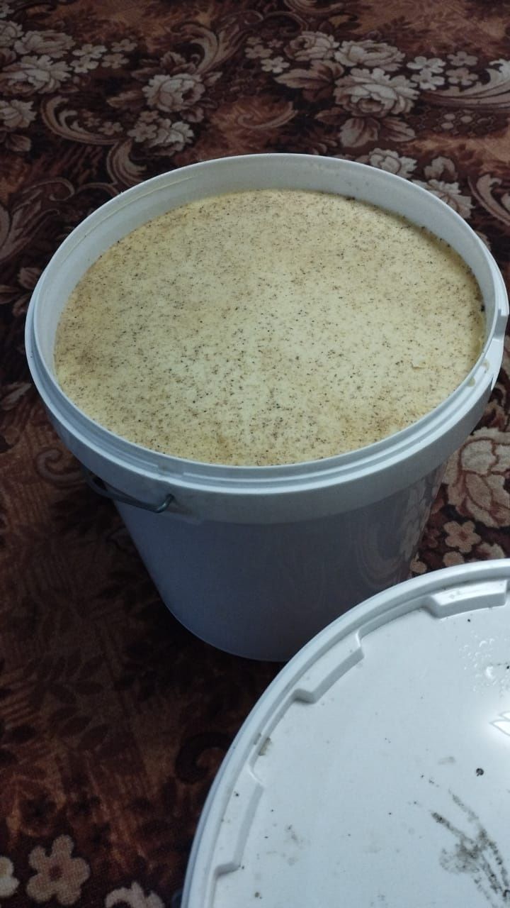 Продам мед с личной пасеки