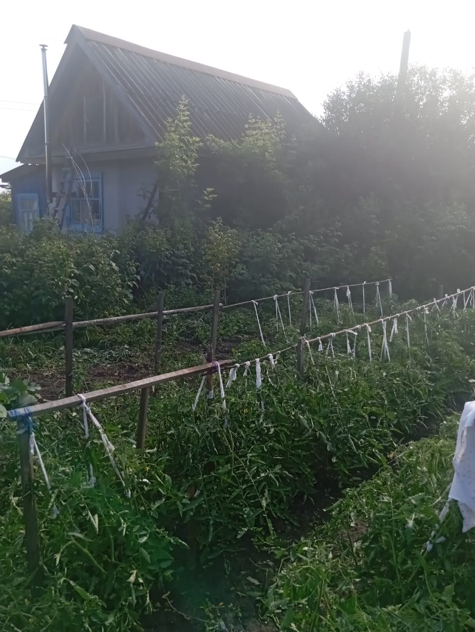 Дача в СТ Ромашка незатопляемая