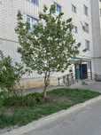 Продажа 1 комн.кв Монкеулы