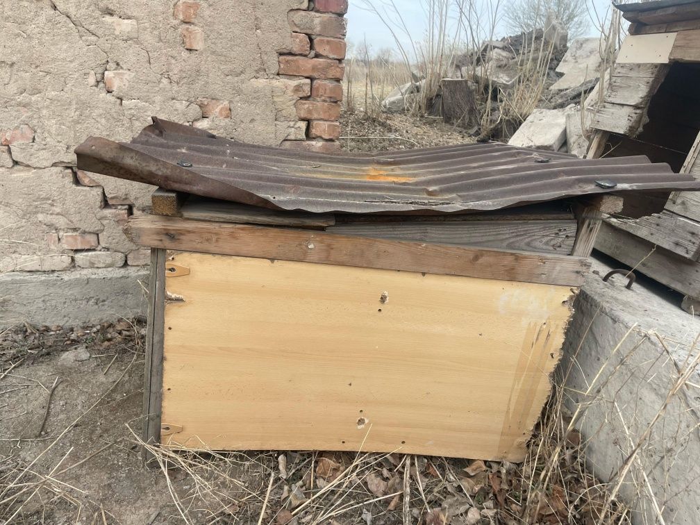 Продам  собачие бутки