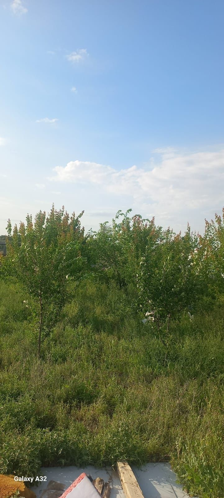 Сатылымда Дача..