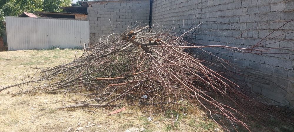 Отын 1 газельдей шығады Дрова