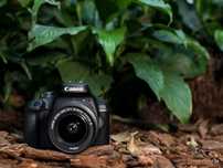 Canon 4000D (новая)