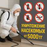Клоп, Кандала, Таракан дезинфекция!