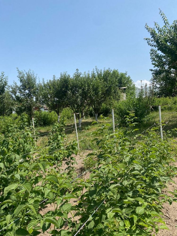 Продается дом в пос. Бекболат карасайский район