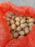 Продам картофель семенной