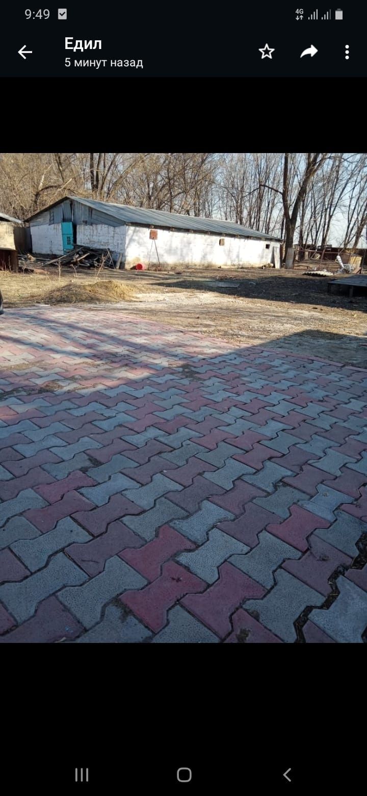 Фазенда уй сатамын фазенда уй сатамын уй фазенда