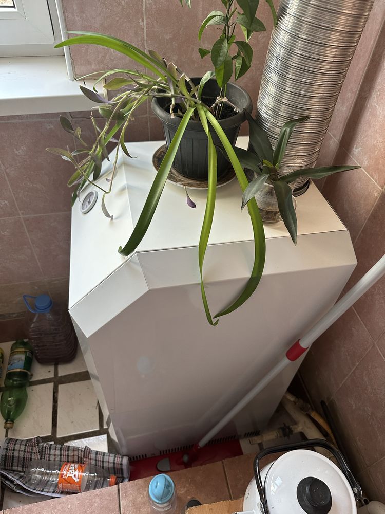 Катёл Газовый лемакс