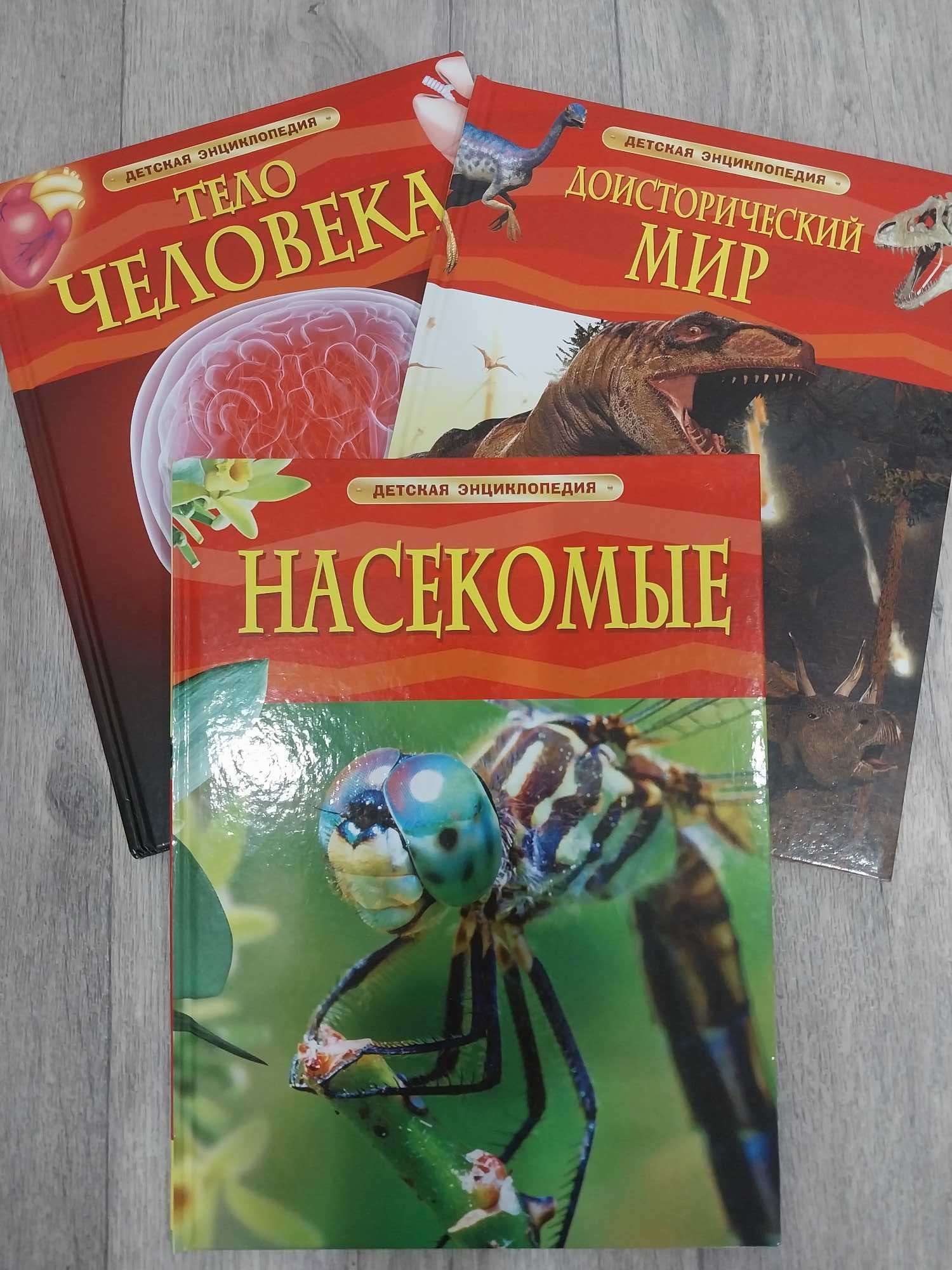 Энциклопедия для детей